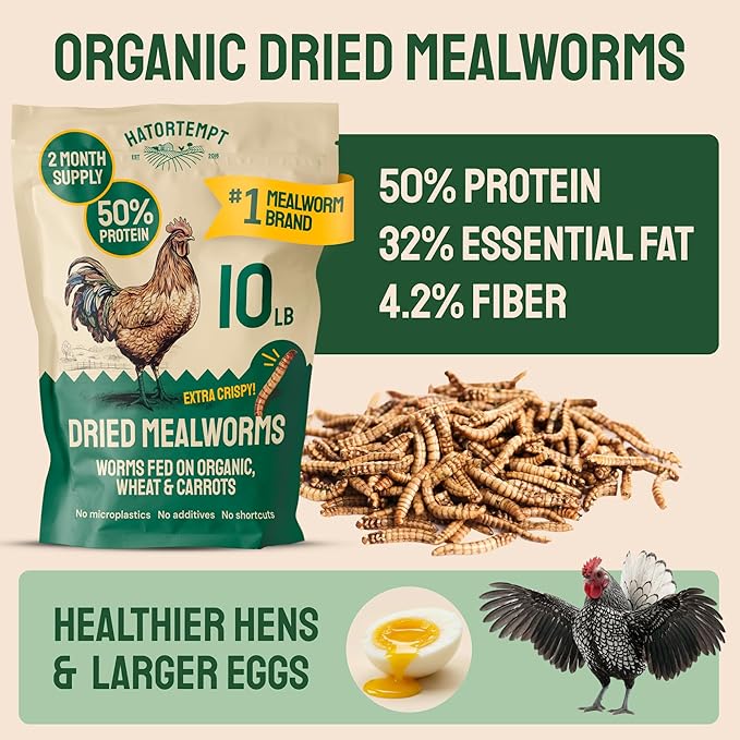 Hatortempt Bulk Dried Mealworms - 10 Lb Bag - Non-GMO Dried Mealworms for Chickens, Ducks & Wild Birds - High-Protein Chicken Feed & Bird Food