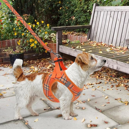 KOOLTAIL Thanksgiving Dog Harness for Small Medium Dogs,Dog Harness and Leash Set, Step in No Pull Soft Mesh Padded Adjustable and Reflective Pet Vest Puppy, Extra Harness for XS S Dogs Orange Plaid S