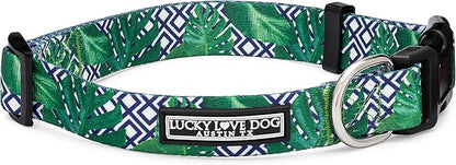 Lucky Love Dog Collar, Beautiful & Vivid Pattern Small Boy Dog Collars, Easy On & Off Clasp Accessory (Blue Laguna, S)