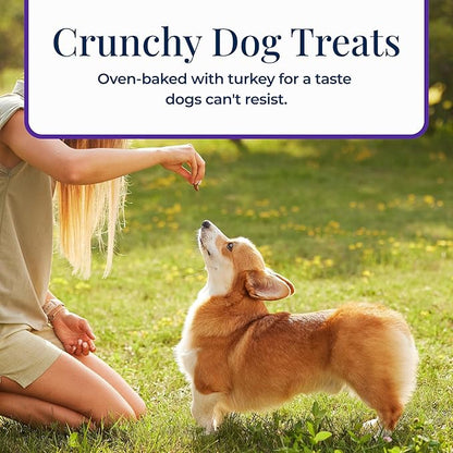 Blue Buffalo Basics Dog Biscuits, Skin & Stomach Care Crunchy Dog Treats, Turkey Recipe, 6-oz Bag
