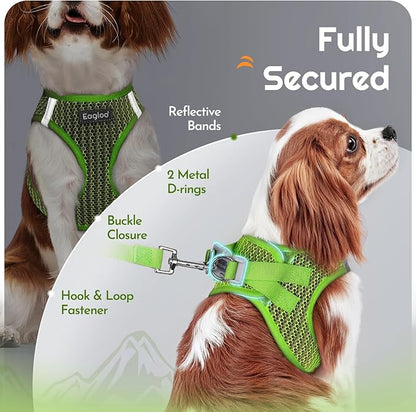 Eagloo Small Dog Harness and Leash Set, Step in Puppy Vest with Breathable Soft Mesh, Walking Reflective Pet Harness for Small Dogs, Green, S