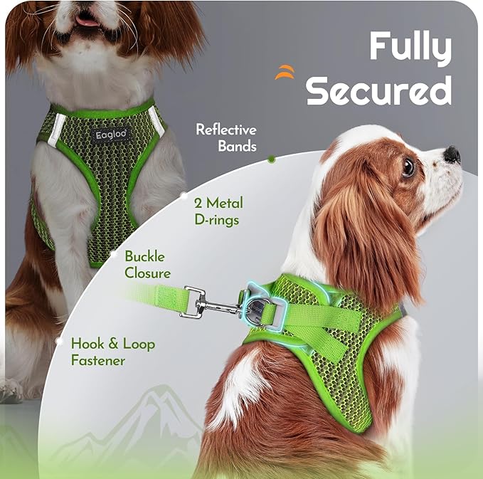 Eagloo Small Dog Harness and Leash Set, Step in Puppy Vest with Breathable Soft Mesh, Walking Reflective Pet Harness for Extra Small Dogs, Green, XXS