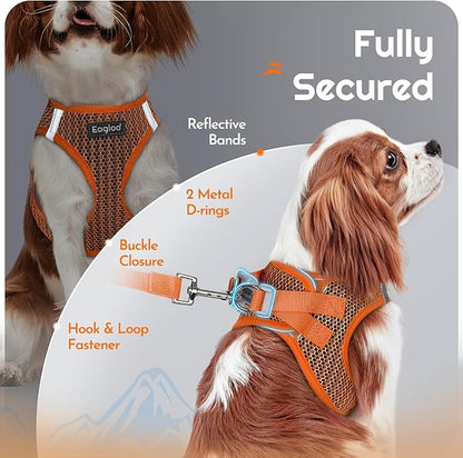 Eagloo Small Dog Harness and Leash Set, Step in Puppy Vest with Breathable Soft Mesh, Walking Reflective Pet Harness for Small Dogs, Orange, XXS