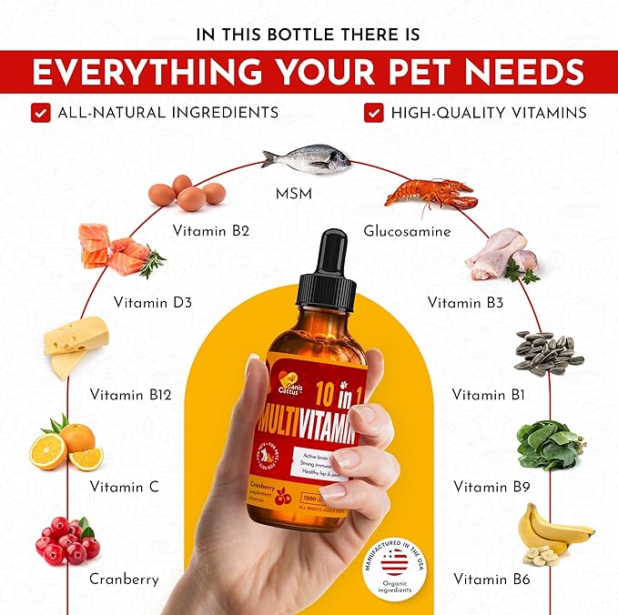 Multivitamin for Dogs & Small Pets with Glucosamine – Liquid B, C, D Dog Vitamins for Skin, Coat, Hips & Joints – Cat Vitamins for Indoor Cats Care for Urination, Breathing, Digestion – 2 oz Bottle