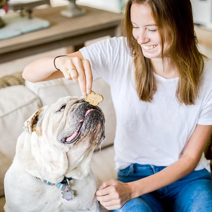 Cloud Star Wag More Bark Less Crunchy Grain Free Dog Treats, Cheddar Cheese, 14 oz. Box (Pack of 2)