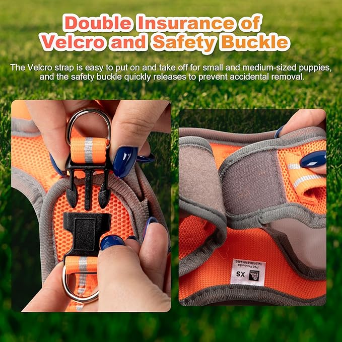 Dog Harness Medium Sized Dogs, Puppy Harness and Leash Set for Training, Running, Walking, Suitable for Small and Medium Dog Vest, Orange, S