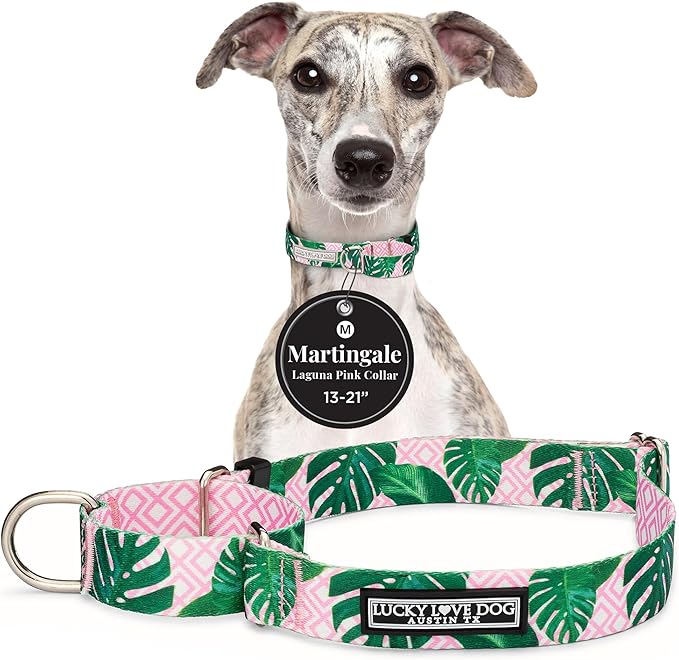 Lucky Love Dog Martingale Dog Collar - Adjustable, No-Slip, Comfortable, Durable, Soft Webbing & Stylish Patterned Collar for Male and Female Dogs Ideal for Training & Walking - Laguna, Medium