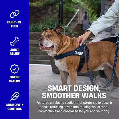 Dog Friendly Co. Bungee Dog Leash | Strain Free & Shock Resistant for Control | Neoprene Padded Handle, Heavy-Duty Carabiner Clip, and D-Ring | Pink, Size Small