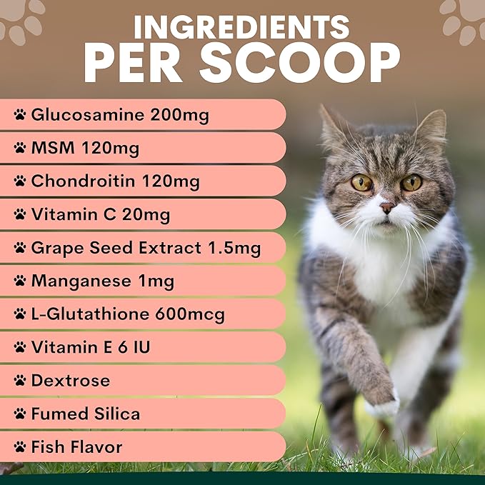 Petz Park Hip + Joint Cat Supplement 60 Scoops, Cat Joint Supplement with Glucosamine, Chondroitin and MSM, Cat Food Topper for Wet and Dry Food, Mobility and Joint Support, Made in Australia