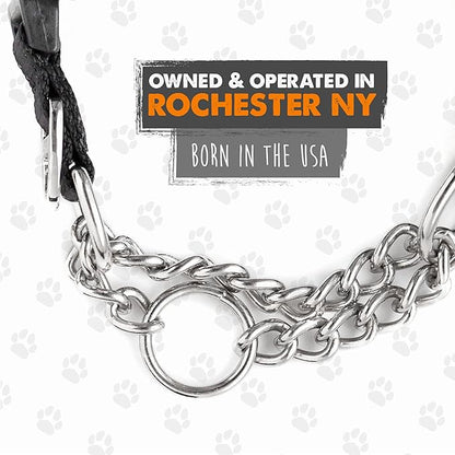 Mighty Paw Martingale Collar with Buckle | Training Dog Collar, Limited Cinch Chain Pet Gear for No Pull Dog Walking. Martingale Dog Collars for Large Dogs, Medium Breeds and Small Pets