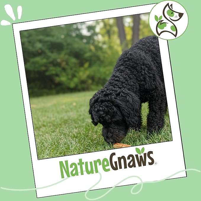 Nature Gnaws USA Chicken Tenders (1Lb) - Delicious Grain-Free Dog Treats for Small, Medium & Large Breeds - Natural Jerky Chews for Dogs.