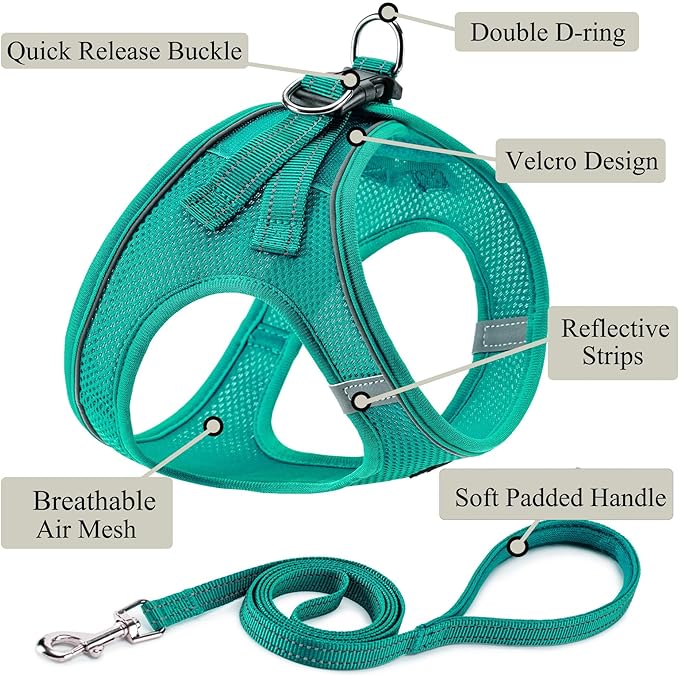 Dog Harness with Leash Set, No Pull Adjustable Reflective Step-in Puppy Pet Vest Harnesses for Small Medium Large Dogs and Cats,Forest Green S