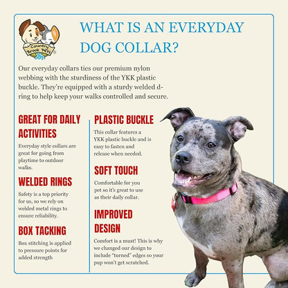 Country Brook Petz - Everyday Nylon Dog Collar for Large, Medium, and Small Dogs and Puppies - for Everyday Use in 10+ Warm Colors (Extra Large, 1 Inch Wide, Hot Pink)