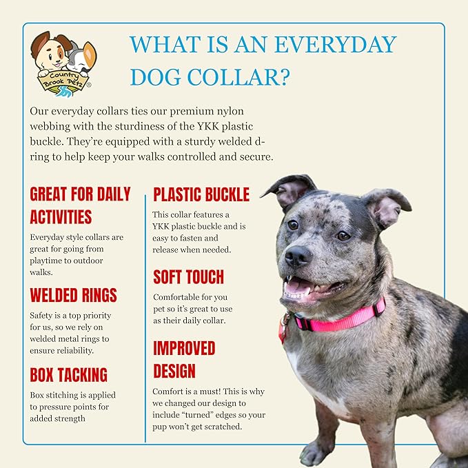 Country Brook Petz - Everyday Nylon Dog Collar for Large, Medium, and Small Dogs and Puppies - for Everyday Use in 10+ Warm Colors (Medium, 3/4 Inch Wide, Hot Pink)
