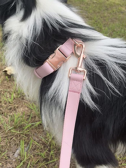 Dog Collar and Leash Set.Soft and Easy to Clean Vegan Leather with Rose Gold Metal Buckle for Small Medium Large Dogs (Pink, L(15.4”-24.8“)