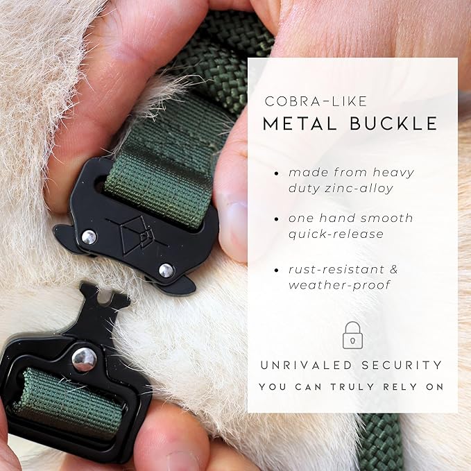 Made to ROAM Premium Explorer Control Collar - Adjustable Heavy Duty Nylon Dog Collar with Quick-Release Metal Buckle and Handle (Florida Seaside, Control Size 4)