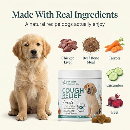 Dog Cough Medicine - 100% Natural Respiratory Support - Relief for Cough and Breathing Discomfort - All-Natural Treats Made with Real Chicken