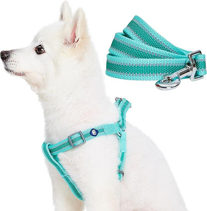 Blueberry Pet Essentials Reflective Back to Basics Matching Dog Harness and Leash Set, Minty Green, Adjustable Harness with 5 ft Leash for Small Dogs