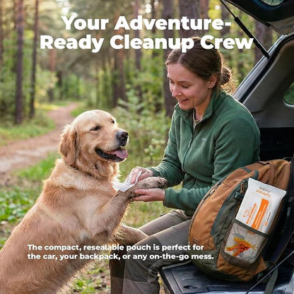 Best Pet Supplies 8" x 9" Large Unscented Dog Wipes - Cleaning and Deodorizing for Paws and Coat - Gentle Formula with Oatmeal Vitamin E for Puppies and Cats - 100 Count