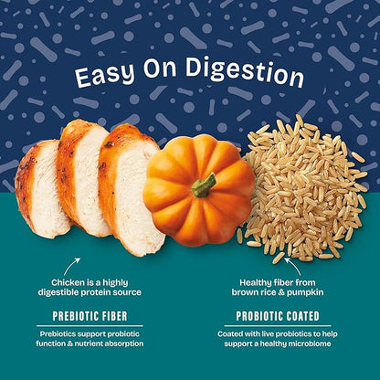 Natural Balance Health Protection Puppy Dry Dog Food – Whole Body Health, Easy on Digestion Dog Food Made with Chicken, Brown Rice & Pumpkin for Puppies - 12lbs.