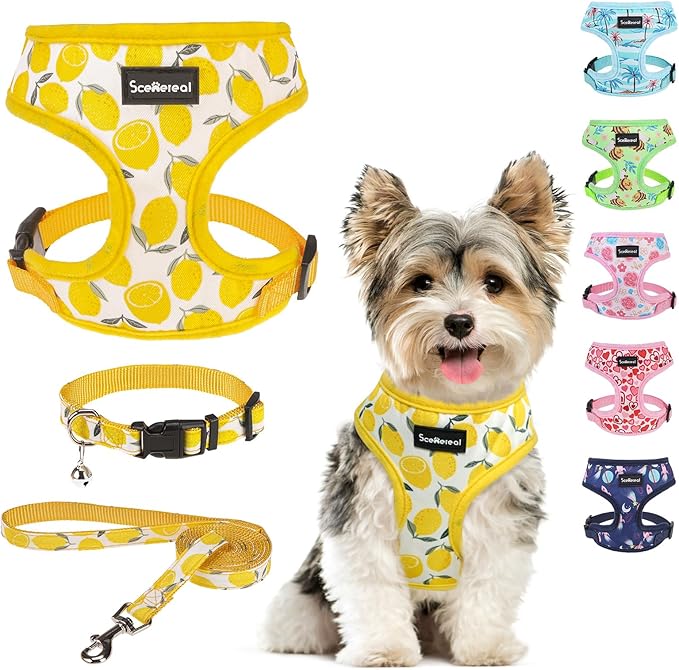 SCENEREAL Small Dog Harness and Leash Collar Set - No Pull Dog Harness for Small & Medium Sized Dogs - Soft Mesh Vest for Puppies, Chihuahua, Yorkie, Spring Summer Hiking Walking, Yellow Lemon XS
