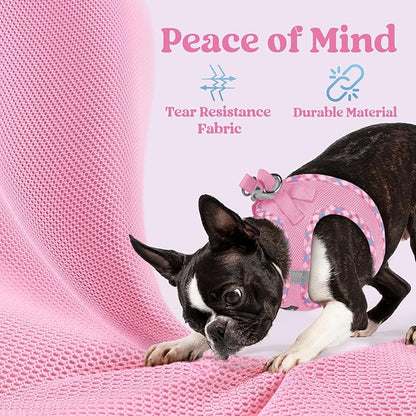 rabbitgoo Small Dog Harness, Step-in Soft Mesh Puppy Vest with Safety Buckle, Breathable Reflective Pet Harness for Extra Small Dogs, Pink & Plaid Trim XXS