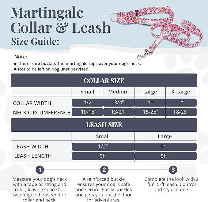 Lucky Love Dog Martingale Dog Collar & Leash - Adjustable, No-Slip, Durable, Comfortable, Soft Webbing, & Stylish Patterned Collar & Leash Set for Male and Female Dogs - Rosie Combo, Medium