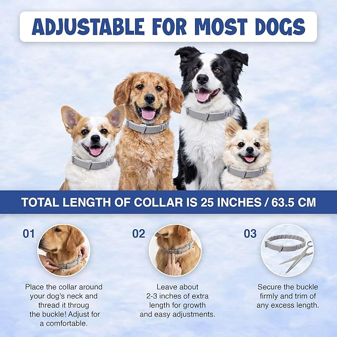 Dog Flea and Tick Collar (2 Pack) – Natural Waterproof Flea Collar for Dogs & Puppies with 8 Month Protection Adjustable Dog Flea Collar Includes Tick Removal Tools & Flea Comb