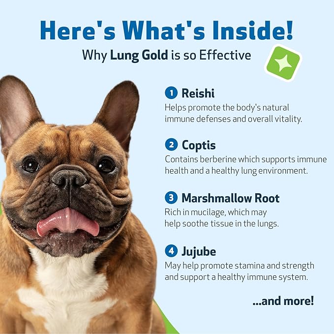 Pet Wellbeing Lung Gold for Dogs - Respiratory Support for Canine Lungs, Healthy Immune Defenses, Lower Respiratory Tract - NASC Certified & Vet-Formulated - 2 oz Liquid