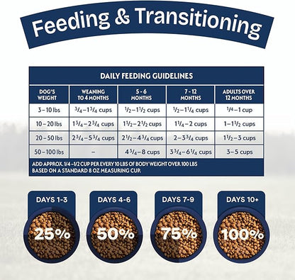 Natural Balance Health Protection Puppy Dry Dog Food – Whole Body Health, Easy on Digestion Dog Food Made with Chicken, Brown Rice & Pumpkin for Puppies - 4lbs.