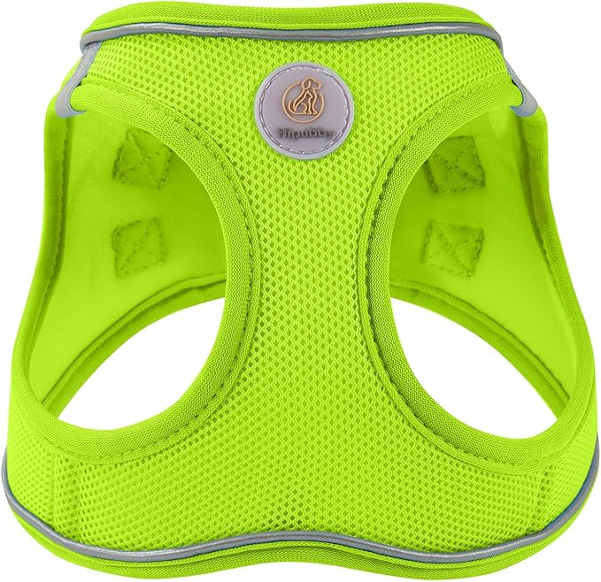 Hipubby Dog Harness and Leash Set, No Pull Soft Mesh Puppy Harness for Small Medium Dogs, Cats - Step in Reflective Breathable Lightweight Vest Harness for Walking, Training - Bright Green, XS