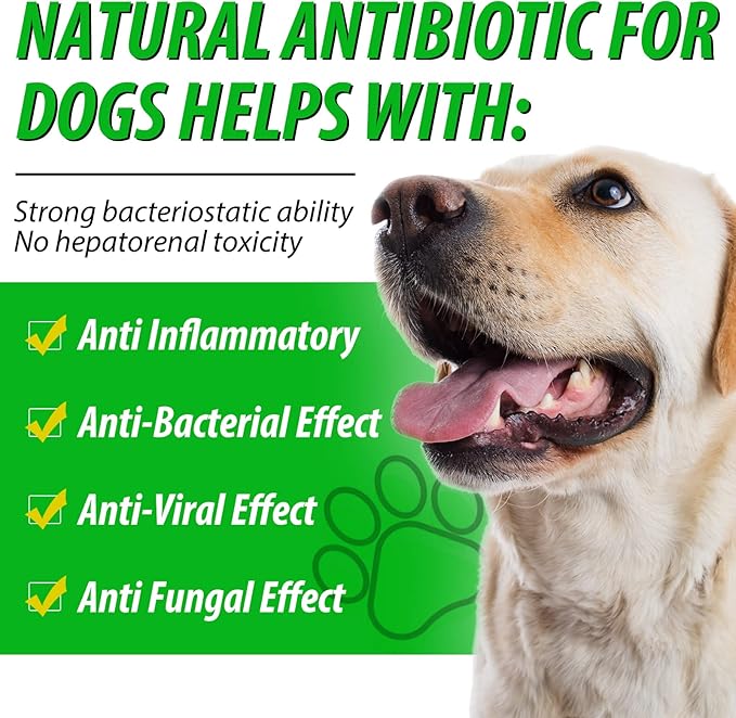 Antibiotics for Dogs, Natural Dog Antibiotics Supports Allergy, Itch Relief, UTIs & Ear Infections, Dog Multivitamin for Pets Support Skin, Coat, & Digestion, Bacon Flavor - 60ml x 2