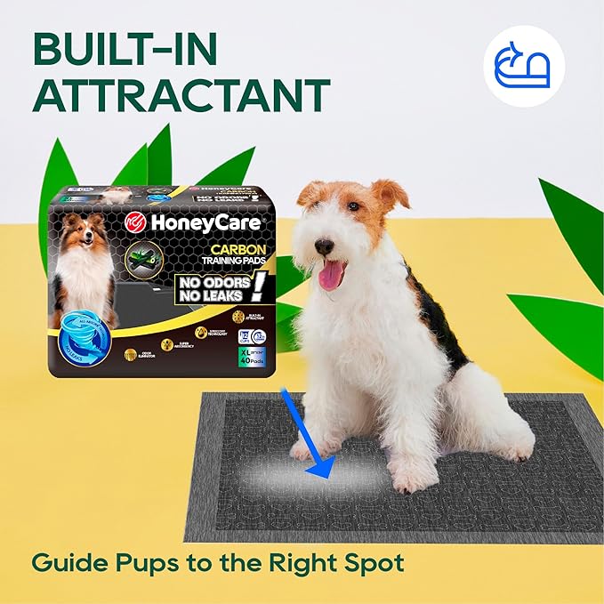 HONEY CARE All-Absorb Puppy Training Pads Dog Potty Pads Absorb Eliminating Urine Odor, Jumbo-Size Charcoal Puppy Pee Pad (Carbon, XL 28x34 inch, 40ct)