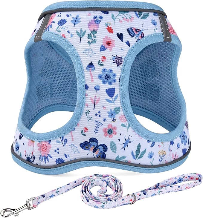 Mihqy Step in Dog Harness and Leash Set, Reflective Adjustable No Pull Dog Harness for Extra-Small/Small Dogs Puppy and Cats, Soft Padded Mesh Vest Harnesses for Girl and Boy Pets(Cute Insect,XS)