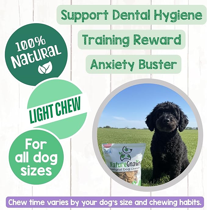 Nature Gnaws USA Chicken Tenders (1Lb) - Delicious Grain-Free Dog Treats for Small, Medium & Large Breeds - Natural Jerky Chews for Dogs.