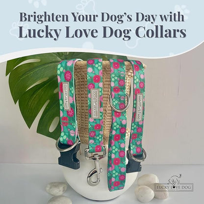 Lucky Love Dog - Adjustable Dog Collar with Easy Click Buckle for Medium Dogs, Durable, & Comfortable for Male & Female Dogs, Pet Collar for Puppies & Adult Ones - Penny, Medium