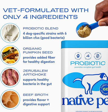 Native Pet Probiotics for Dogs – Dog Probiotic Powder for Gut & Digestive Health, Vet-Formulated 6B CFUs Dog-Specific Probiotic Strains, Supports Stool Quality & Diet Transitions – 120 Scoops