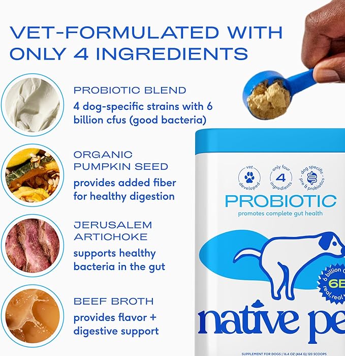 Native Pet Probiotics for Dogs – Dog Probiotic Powder for Gut & Digestive Health, Vet-Formulated 6B CFUs Dog-Specific Probiotic Strains, Supports Stool Quality & Diet Transitions – 30 Scoops
