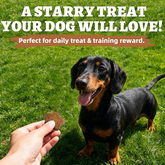 Just Try 15 OZ Dog Biscuits Peanut Butter Flavor Energy Boosting Immune Support Training Treats Healthy Dog Treats