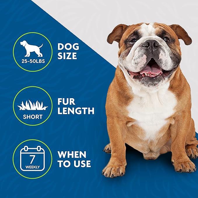 FURminator Medium Dog Undercoat deShedding Tool,Short Hair,Reduces Loose Hair from Shedding,(Pack of 12)