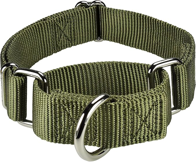 Mikivery Martingale Dog Collar Nylon Adjustable and Safety Training Colourful Comfortable Metal Buckle Pet Collars for Small Medium and Large Dogs(Military Green,L)