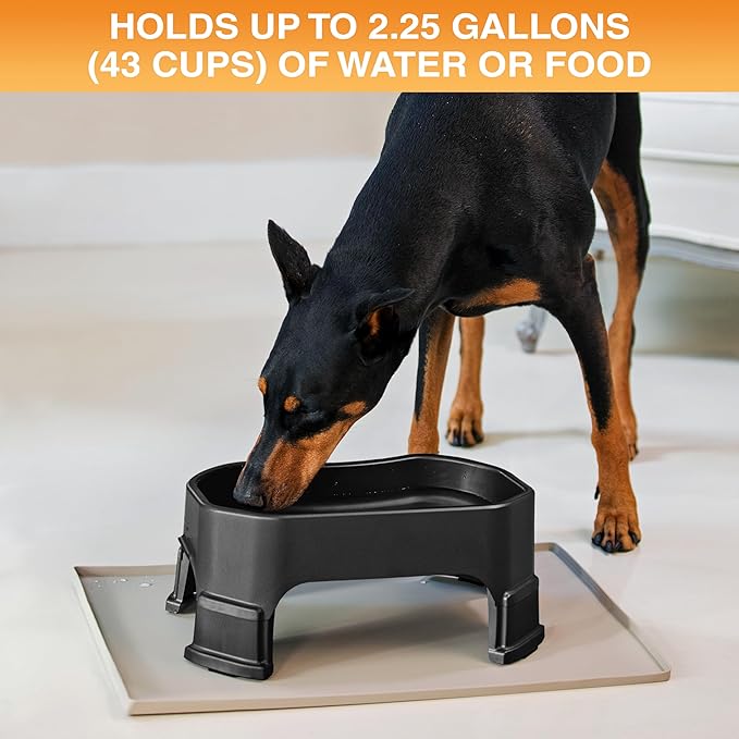 Neater Pet Brands Extra Large Water Bowl for Dogs, Elevated Outdoor Dog Water Bowl (2.25 Gallon XL Capacity), Big Trough Style Food Dish for Indoors or Outside, No Spill Large Dog Bowls, Black