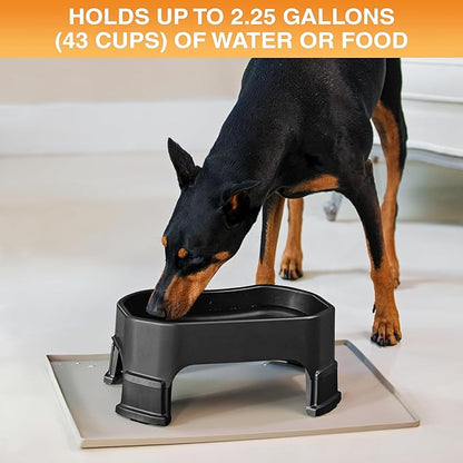 Neater Pet Brands Extra Large Water Bowl for Dogs, Elevated Outdoor Dog Water Bowl (2.25 Gallon XL Capacity), Big Trough Style Food Dish for Indoors or Outside, No Spill Large Dog Bowls, Black