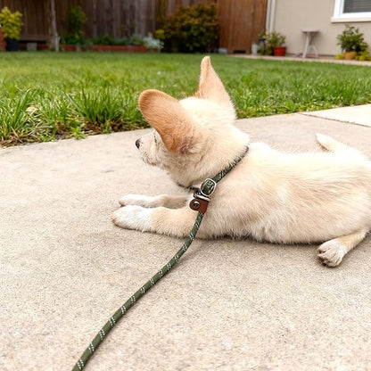 WYUZE 8 ft Slip Lead Dog Leash, Reflective No Pull Dog Training Lead, 1/3" Nylon Rope Slip Control Leash for Small Medium Dogs, Olive