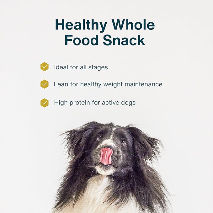 JustFoodForDogs Single Ingredient Healthy Dog Treats and Dog Snacks, Jerky Treats, Human Grade, Preservative and Grain Free, Rawhide Free Chews, Low Calorie Treat - Pork, 5 oz