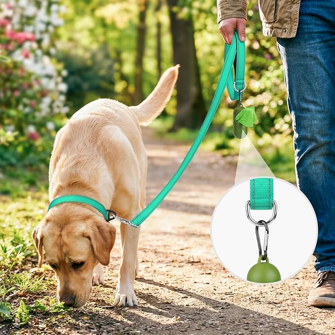 Joytale Dog Leash, 5 FT Double-Sided Reflective, Padded Handle Nylon Heavy Duty Leashes for Small Dogs Walking, Teal
