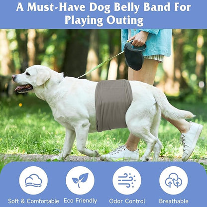 5 Pack Dog Diapers Male Reusable, Premium Belly Bands for Male Dogs, High Absorbing Dog Pee Wraps for Doggie in Incontinence or Excitable Urination and Training Green XXL