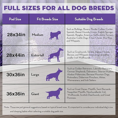 CROCI Dog Pads Extra Large 28x44in, Puppy Pads with Adhesive Tabs Super Absorbent Up to 12 Cups, Disposable (30 Counts)