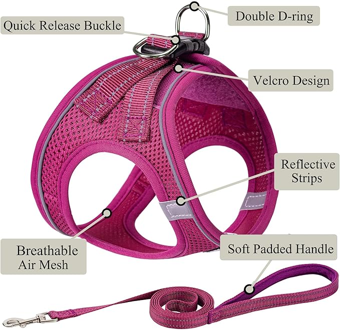 Dog Harness with Leash Set, No Pull Adjustable Reflective Step-in Puppy Pet Vest Harnesses for Small Medium Large Dogs and Cats,Rose Red M