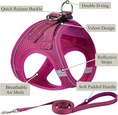Dog Harness with Leash Set, No Pull Adjustable Reflective Step-in Puppy Pet Vest Harnesses for Small Medium Large Dogs and Cats,Rose Red M